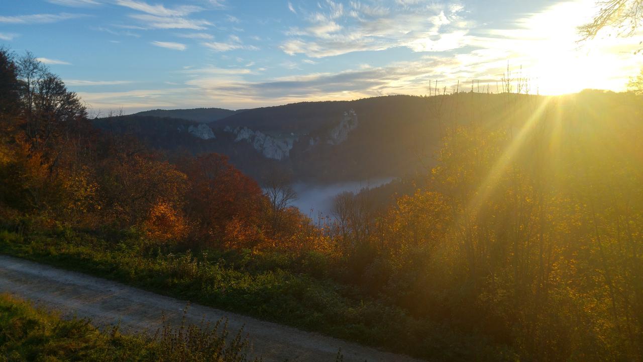 Berghaus Knopfmacher Fridingen an der Donau Exterior photo